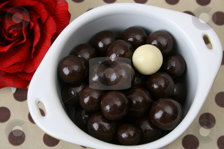 To use this stock image in your creative project, please select the size you need over to the right and click the "Add to Cart" button.
Your downloaded image will come with the Cutcaster watermark removed so don’t worry about the watermark you see on this page. Chocolate Balls stock photo, Vanilla and Dark Chocolate balls on a dotty background by Vanessa Van Rensburg