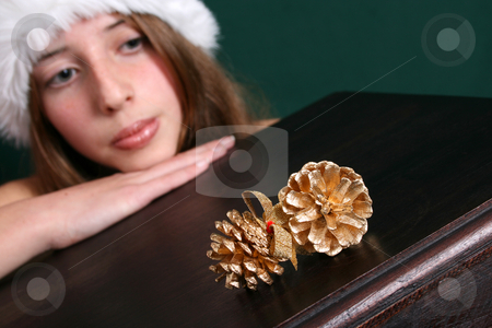 To use this stock image in your creative project, please select the size you need over to the right and click the "Add to Cart" button.
Your downloaded image will come with the Cutcaster watermark removed so don’t worry about the watermark you see on this page. Christmas Decorations stock photo, Brunette Teenager, FOCUS on the gold pine cones by Vanessa Van Rensburg