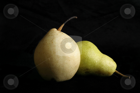 To use this stock image in your creative project, please select the size you need over to the right and click the "Add to Cart" button.
Your downloaded image will come with the Cutcaster watermark removed so don’t worry about the watermark you see on this page. Two Pear stock photo, Two different variety of pears on a black background by Leah-Anne Thompson