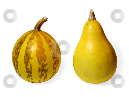 To use this stock image in your creative project, please select the size you need over to the right and click the "Add to Cart" button.
Your downloaded image will come with the Cutcaster watermark removed so don’t worry about the watermark you see on this page. Two small pumpkins stock photo, Two small pumpkins on white background by Onyshchenko Viktor