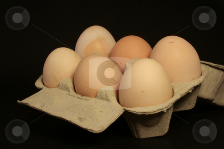 To use this stock image in your creative project, please select the size you need over to the right and click the "Add to Cart" button.
Your downloaded image will come with the Cutcaster watermark removed so don’t worry about the watermark you see on this page. Eggs stock photo, A carton of eggs on black background by Marina Magri