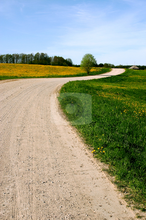 To use this stock image in your creative project, please select the size you need over to the right and click the "Add to Cart" button.
Your downloaded image will come with the Cutcaster watermark removed so don’t worry about the watermark you see on this page. Country Road 1 stock photo, by Stanislovas Kairys