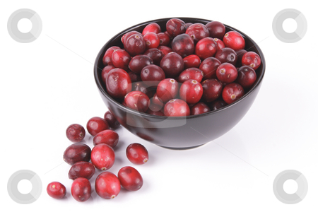 To use this stock image in your creative project, please select the size you need over to the right and click the "Add to Cart" button.
Your downloaded image will come with the Cutcaster watermark removed so don’t worry about the watermark you see on this page. Cranberries in a Black Bowl stock photo, Red ripe cranberries in a small round black bowl with a few scattered on the surface with a reflective white background by Keith Wilson