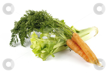 To use this stock image in your creative project, please select the size you need over to the right and click the "Add to Cart" button.
Your downloaded image will come with the Cutcaster watermark removed so don’t worry about the watermark you see on this page. Carrots and Celery stock photo, Fresh bunch of orange carrots with green leafs and celery on a reflective white background by Keith Wilson