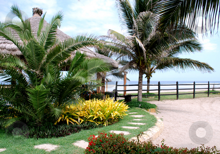 To use this stock image in your creative project, please select the size you need over to the right and click the "Add to Cart" button.
Your downloaded image will come with the Cutcaster watermark removed so don’t worry about the watermark you see on this page. Tropical Garden In The Beach stock photo, Palm trees, flowers and arbour at coast of Pacific ocean by Nataliya Taratunina