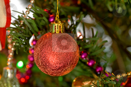 To use this stock image in your creative project, please select the size you need over to the right and click the "Add to Cart" button.
Your downloaded image will come with the Cutcaster watermark removed so don’t worry about the watermark you see on this page. Red christmas bulbs stock photo, Some christmas balls decorated on a tree by Tito Wong