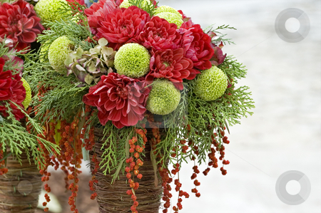 To use this stock image in your creative project, please select the size you need over to the right and click the "Add to Cart" button.
Your downloaded image will come with the Cutcaster watermark removed so don’t worry about the watermark you see on this page. Bouquet of flowers stock photo, The close up view of bouquets of various flowers by Tito Wong