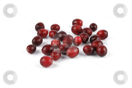 To use this stock image in your creative project, please select the size you need over to the right and click the "Add to Cart" button.
Your downloaded image will come with the Cutcaster watermark removed so don’t worry about the watermark you see on this page. Cranberries stock photo, Red ripe juicy cranberries on a reflective white background by Keith Wilson