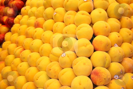 To use this stock image in your creative project, please select the size you need over to the right and click the "Add to Cart" button.
Your downloaded image will come with the Cutcaster watermark removed so don’t worry about the watermark you see on this page. Peach stock photo, by Lior Peretz