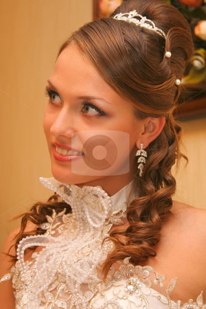 To use this stock image in your creative project, please select the size you need over to the right and click the "Add to Cart" button.
Your downloaded image will come with the Cutcaster watermark removed so don’t worry about the watermark you see on this page. Bride in wedding dress stock photo, Bride in wedding dress by Artem Zamula