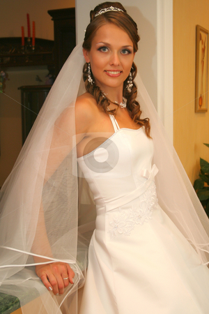 To use this stock image in your creative project, please select the size you need over to the right and click the "Add to Cart" button.
Your downloaded image will come with the Cutcaster watermark removed so don’t worry about the watermark you see on this page. Bride in wedding dress stock photo, Bride in wedding dress by Artem Zamula