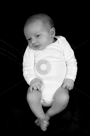 To use this stock image in your creative project, please select the size you need over to the right and click the "Add to Cart" button.
Your downloaded image will come with the Cutcaster watermark removed so don’t worry about the watermark you see on this page. Newborn Baby Boy stock photo, A close up on a newborn baby boy. Ten days old. by Travis Manley