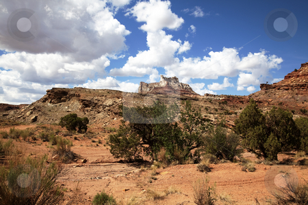 To use this stock image in your creative project, please select the size you need over to the right and click the "Add to Cart" button.
Your downloaded image will come with the Cutcaster watermark removed so don’t worry about the watermark you see on this page. San Rafael Swell stock photo, View of the red rock formations in San Rafael Swell with blue sky by Mark Smith