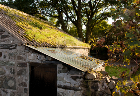 To use this stock image in your creative project, please select the size you need over to the right and click the "Add to Cart" button.
Your downloaded image will come with the Cutcaster watermark removed so don’t worry about the watermark you see on this page. Old farm building with moss covered roof stock photo, Lean-to building on old Welsh mountain farm with mossy roof by Steven Heap