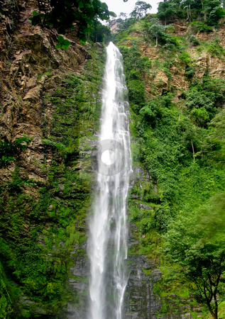 To use this stock image in your creative project, please select the size you need over to the right and click the "Add to Cart" button.
Your downloaded image will come with the Cutcaster watermark removed so don’t worry about the watermark you see on this page. Wli Waterfall in Agumatsa Park in Ghana stock photo, Water falling 1600 feet down Wli Waterfall near Hohoe in Ghana by Steven Heap