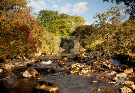 To use this stock image in your creative project, please select the size you need over to the right and click the "Add to Cart" button.
Your downloaded image will come with the Cutcaster watermark removed so don’t worry about the watermark you see on this page. River flowing in welsh valley stock photo, Rocky river bed in secluded valley by Steven Heap
