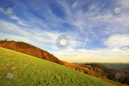 To use this stock image in your creative project, please select the size you need over to the right and click the "Add to Cart" button.
Your downloaded image will come with the Cutcaster watermark removed so don’t worry about the watermark you see on this page. ... on a green field stock photo, ... almost lost on a hill top by emiliano beltrani