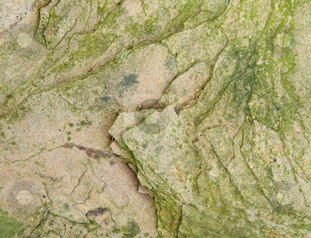 To use this stock image in your creative project, please select the size you need over to the right and click the "Add to Cart" button.
Your downloaded image will come with the Cutcaster watermark removed so don’t worry about the watermark you see on this page. Shale stock photo, by Kathy Piper