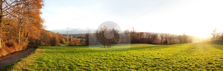 To use this stock image in your creative project, please select the size you need over to the right and click the "Add to Cart" button.
Your downloaded image will come with the Cutcaster watermark removed so don’t worry about the watermark you see on this page. Countryside landscape stock photo, 23 megapixels panoramic view of a meadow at sunset by Laurent Dambies