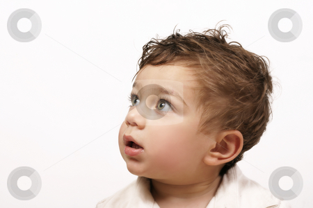 To use this stock image in your creative project, please select the size you need over to the right and click the "Add to Cart" button.
Your downloaded image will come with the Cutcaster watermark removed so don’t worry about the watermark you see on this page. Toddler child's fascination stock photo, Toddlers fascination or wonder by Leah-Anne Thompson
