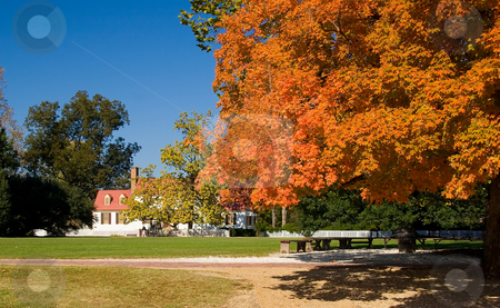 To use this stock image in your creative project, please select the size you need over to the right and click the "Add to Cart" button.
Your downloaded image will come with the Cutcaster watermark removed so don’t worry about the watermark you see on this page. Old white house framed by autumn fall leaves stock photo, Old wooden building in rustic forest setting in Williamsburg by Steven Heap