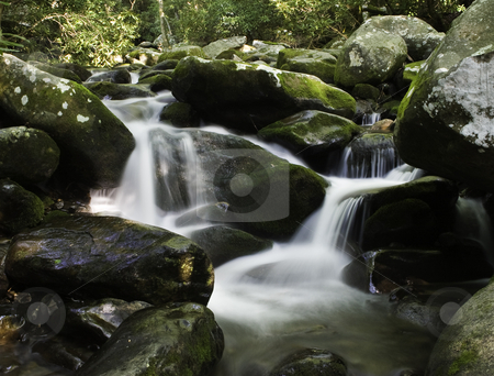 To use this stock image in your creative project, please select the size you need over to the right and click the "Add to Cart" button.
Your downloaded image will come with the Cutcaster watermark removed so don’t worry about the watermark you see on this page. Rocky River stock photo, Water cascading over moss covered rocks in forest setting by Steven Heap