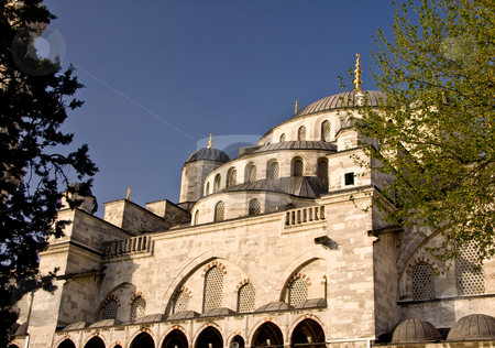 To use this stock image in your creative project, please select the size you need over to the right and click the "Add to Cart" button.
Your downloaded image will come with the Cutcaster watermark removed so don’t worry about the watermark you see on this page. Blue Mosque 5 stock photo, Blue Mosque in Istanbul in close up showing the various domes and layers by Steven Heap