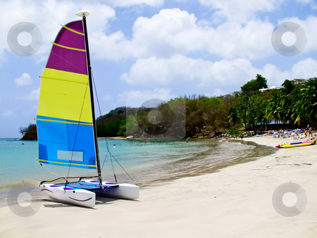 To use this stock image in your creative project, please select the size you need over to the right and click the "Add to Cart" button.
Your downloaded image will come with the Cutcaster watermark removed so don’t worry about the watermark you see on this page. Catamaran on beach stock photo, Catamaran on tropical beach on a clear bay by Steven Heap