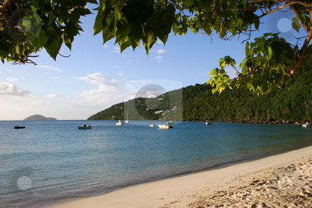 To use this stock image in your creative project, please select the size you need over to the right and click the "Add to Cart" button.
Your downloaded image will come with the Cutcaster watermark removed so don’t worry about the watermark you see on this page. Beach and Bay on the Caribbean island of St John stock photo, Beach and Bay on the Caribbean island of St John by Steven Heap