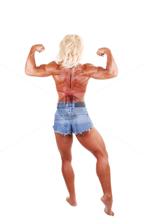 To use this stock image in your creative project, please select the size you need over to the right and click the "Add to Cart" button.
Your downloaded image will come with the Cutcaster watermark removed so don’t worry about the watermark you see on this page. Bodybuilding woman. stock photo, A blond muscular bodybuilding girl standing in the studio shooing her
strong legs and the upper body and arms, over white background. by Horst Petzold