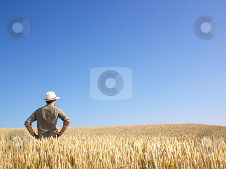 To use this stock image in your creative project, please select the size you need over to the right and click the "Add to Cart" button.
Your downloaded image will come with the Cutcaster watermark removed so don’t worry about the watermark you see on this page. Man in Wheat Field stock photo, Man standing in wheat field. Horizontally framed shot. by Mog Ddl