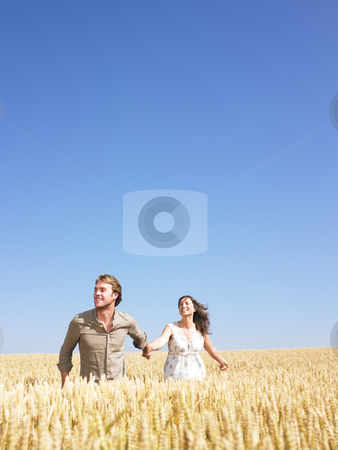 To use this stock image in your creative project, please select the size you need over to the right and click the "Add to Cart" button.
Your downloaded image will come with the Cutcaster watermark removed so don’t worry about the watermark you see on this page. Happy Young Couple in Wheat Field stock photo, A young couple holding hands and walking through wheat field. Vertically framed shot. by Mog Ddl