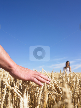 To use this stock image in your creative project, please select the size you need over to the right and click the "Add to Cart" button.
Your downloaded image will come with the Cutcaster watermark removed so don’t worry about the watermark you see on this page. Hand & couple in wheat field stock photo, Close-up of men's hands with woman in background by Mog Ddl