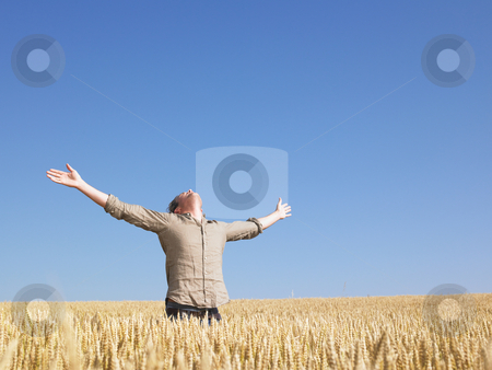 To use this stock image in your creative project, please select the size you need over to the right and click the "Add to Cart" button.
Your downloaded image will come with the Cutcaster watermark removed so don’t worry about the watermark you see on this page. Man in Wheat Field With Arms Outstretched stock photo, Man standing in wheat field with arms outstretched. Horizontally framed shot. by Mog Ddl