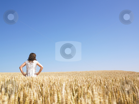 To use this stock image in your creative project, please select the size you need over to the right and click the "Add to Cart" button.
Your downloaded image will come with the Cutcaster watermark removed so don’t worry about the watermark you see on this page. Woman in Wheat Field stock photo, Woman standing in wheat field with hands on hips. Horizontally framed shot. by Mog Ddl