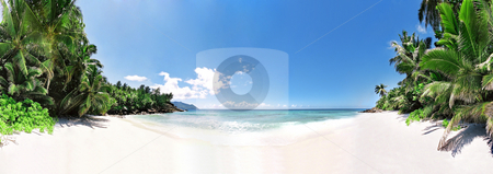 To use this stock image in your creative project, please select the size you need over to the right and click the "Add to Cart" button.
Your downloaded image will come with the Cutcaster watermark removed so don’t worry about the watermark you see on this page. Paradise beach stock photo, Panoramic vue of idle beach with palmtrees by Mog Ddl