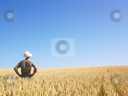 To use this stock image in your creative project, please select the size you need over to the right and click the "Add to Cart" button.
Your downloaded image will come with the Cutcaster watermark removed so don’t worry about the watermark you see on this page. Man in Wheat Field stock photo, Man standing in wheat field. Horizontally framed shot. by Mog Ddl