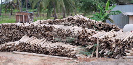 To use this stock image in your creative project, please select the size you need over to the right and click the "Add to Cart" button.
Your downloaded image will come with the Cutcaster watermark removed so don’t worry about the watermark you see on this page. Bamboo stock photo, Storage of a building bamboo by Nataliya Taratunina