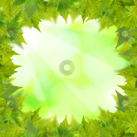 To use this stock image in your creative project, please select the size you need over to the right and click the "Add to Cart" button.
Your downloaded image will come with the Cutcaster watermark removed so don’t worry about the watermark you see on this page. Beautiful green leaves with green background in spring stock photo, Beautiful green leaves with green background in spring by Julian Weber