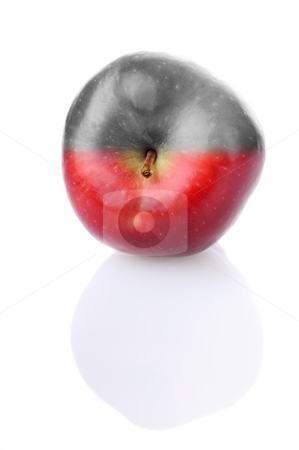 To use this stock image in your creative project, please select the size you need over to the right and click the "Add to Cart" button.
Your downloaded image will come with the Cutcaster watermark removed so don’t worry about the watermark you see on this page. Fresh apple with red and colourless half stock photo, Fresh apple with stem and reflection, with red and colourless half by Iryna Rasko
