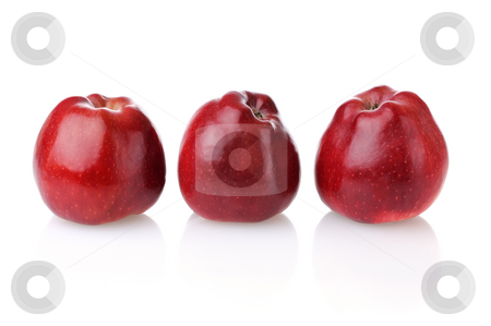 To use this stock image in your creative project, please select the size you need over to the right and click the "Add to Cart" button.
Your downloaded image will come with the Cutcaster watermark removed so don’t worry about the watermark you see on this page. Three red apples with reflection stock photo, Three fresh red apples with reflection on white background by Iryna Rasko