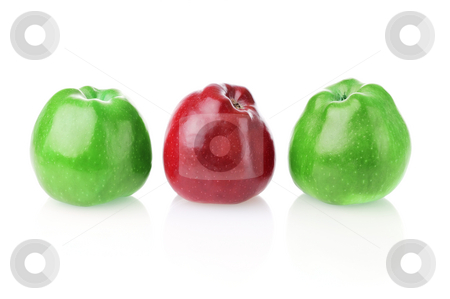 To use this stock image in your creative project, please select the size you need over to the right and click the "Add to Cart" button.
Your downloaded image will come with the Cutcaster watermark removed so don’t worry about the watermark you see on this page. To be different one stock photo, Different bright red apple between two green apples on white background by Iryna Rasko