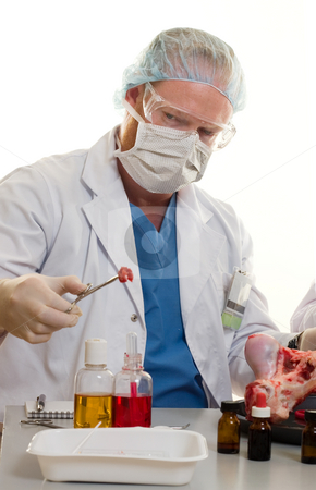 To use this stock image in your creative project, please select the size you need over to the right and click the "Add to Cart" button.
Your downloaded image will come with the Cutcaster watermark removed so don’t worry about the watermark you see on this page. Food and Agricultural Researcher stock photo, Muscle Science is a food engineering and research program emphasizing chemical or biochemical aspects of further processing of livestock, poultry and aquatic muscle, as well as other food-producing species for consumer food safety and value-added products. by Leah-Anne Thompson