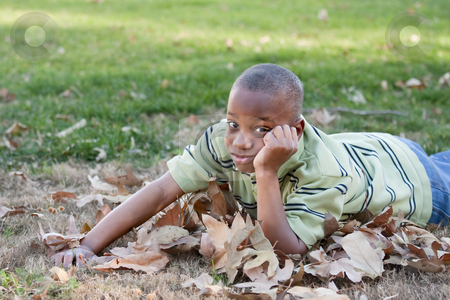 To use this stock image in your creative project, please select the size you need over to the right and click the "Add to Cart" button.
Your downloaded image will come with the Cutcaster watermark removed so don’t worry about the watermark you see on this page. Young African American Boy in the Park stock photo, Young African American Boy Having Fun in the Park. by Andy Dean