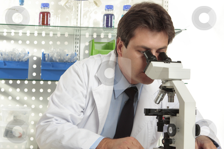 To use this stock image in your creative project, please select the size you need over to the right and click the "Add to Cart" button.
Your downloaded image will come with the Cutcaster watermark removed so don’t worry about the watermark you see on this page. Research under the microscope stock photo, A researcher observes a substance on a slide under a stereo microscope by Leah-Anne Thompson