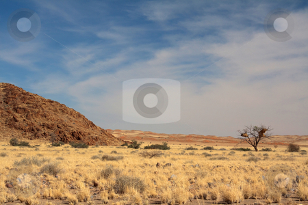 To use this stock image in your creative project, please select the size you need over to the right and click the "Add to Cart" button.
Your downloaded image will come with the Cutcaster watermark removed so don’t worry about the watermark you see on this page. Landscape in Namibia stock photo, Landscape in Namibia;
photographed in October 2009 by Manuela Schueler