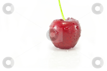 To use this stock image in your creative project, please select the size you need over to the right and click the "Add to Cart" button.
Your downloaded image will come with the Cutcaster watermark removed so don’t worry about the watermark you see on this page. Single Cherry stock photo, A Single Cherry isolated on white by Chris Alleaume