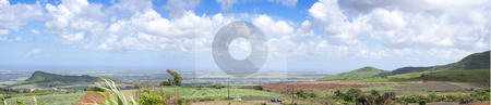 To use this stock image in your creative project, please select the size you need over to the right and click the "Add to Cart" button.
Your downloaded image will come with the Cutcaster watermark removed so don’t worry about the watermark you see on this page. Stock Photo of panoramic view of sugarcane field stock photo, Tropical panoramic view of sugarcane plants with beautiful cloudy background in the north of the island of Mauritius. by Gowtum Bachoo