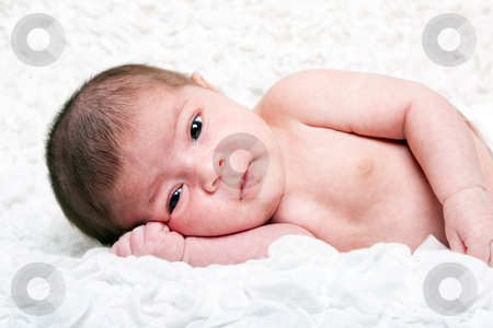To use this stock image in your creative project, please select the size you need over to the right and click the "Add to Cart" button.
Your downloaded image will come with the Cutcaster watermark removed so don’t worry about the watermark you see on this page. Cute baby face stock photo, Cute Caucasian Hispanic infant baby with big eyes laying on side on soft white cotton cloud with hand under head with lovable expression. by Paul Hakimata
