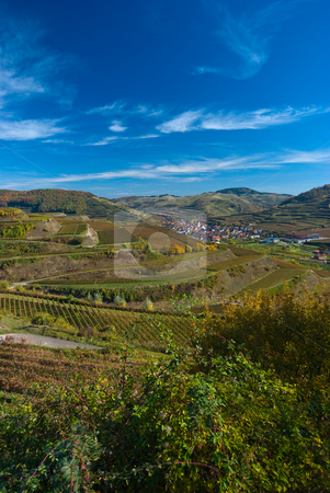 To use this stock image in your creative project, please select the size you need over to the right and click the "Add to Cart" button.
Your downloaded image will come with the Cutcaster watermark removed so don’t worry about the watermark you see on this page. Landschaft am Kaiserstuhl Landscape in Kaiserstuhl/Germany stock photo, Der Kaiserstuhl ist ein bis 557 m ?. NN hohes Mittelgebirge vulkanischen Ursprungs im S?dwesten von Baden-W?rttemberg (Deutschland). - The Kaiserstuhl (literally